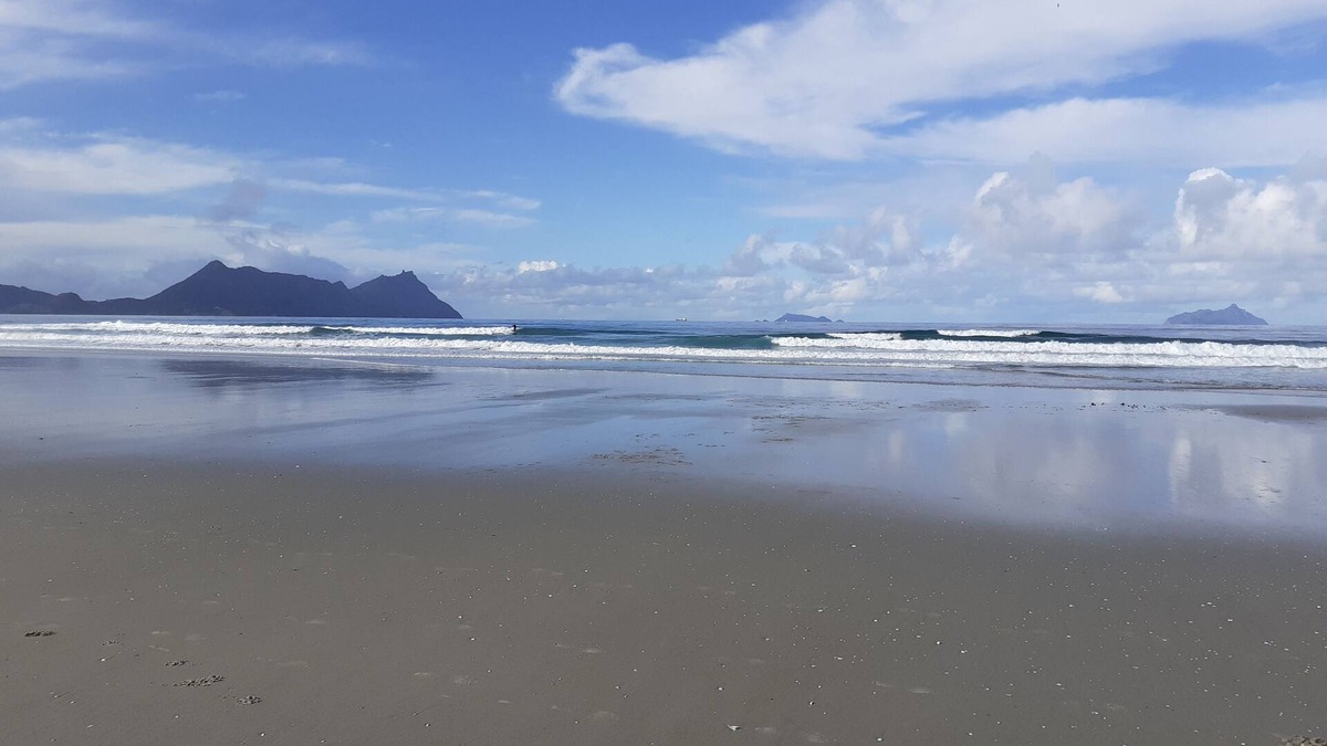 Ruakaka House | Perfect Summer Bach