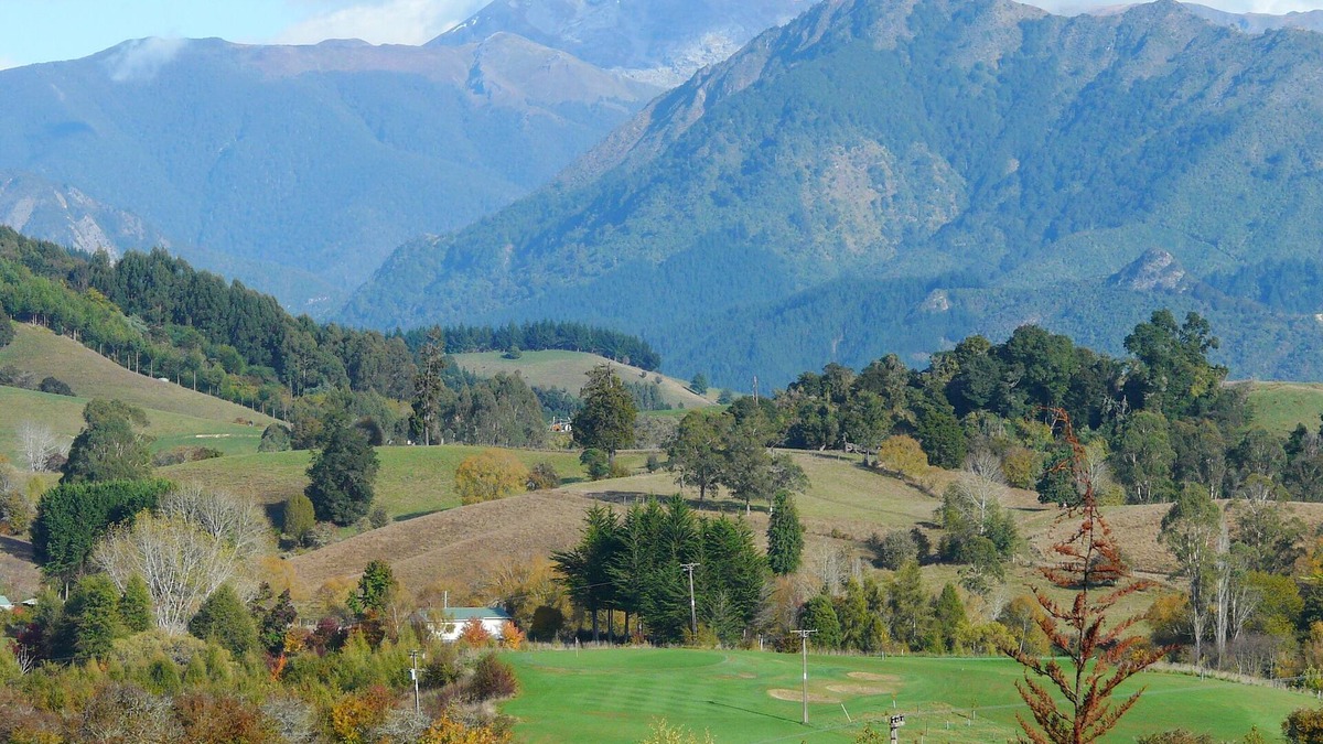 Ngatimoti Other | Perfect, Tranquil Rural Escape - Couples, Families & Pets