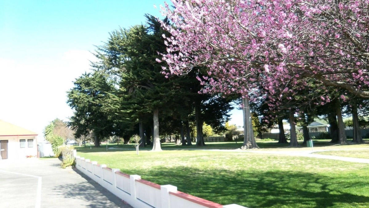 Napier Hotel | Pet-Friendly Napier Nest Motel w/Kitchenette
