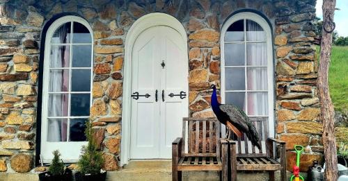 Takaka Hill Other | Pioneer Hut