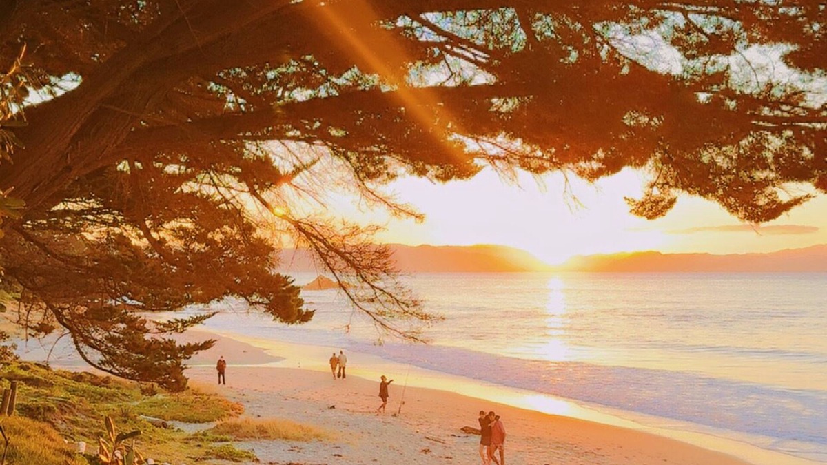 Kuaotunu Cabin | Prime Location in Kuaotunu - Beach Across the Road!