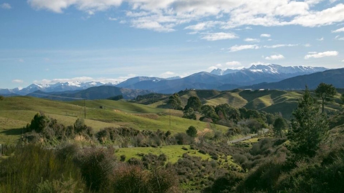 Mapua Cottage | Quince Cottage, Mapua
