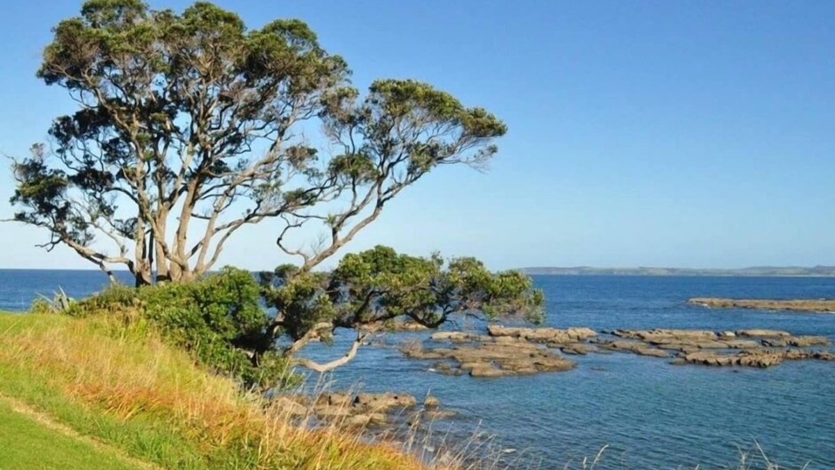 Leigh House | Relax at this Matheson Bay retreat.