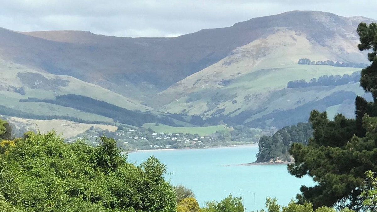Christchurch District Cabin | Relax, unwind & enjoy the views & birdsong in a spacious standalone cottage.
