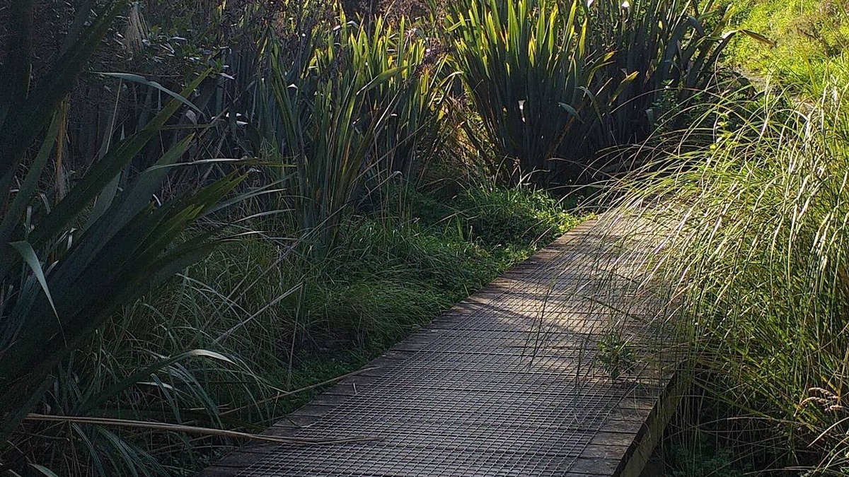 Palmerston North Hotel | Shadzz Motel & Conference Centre