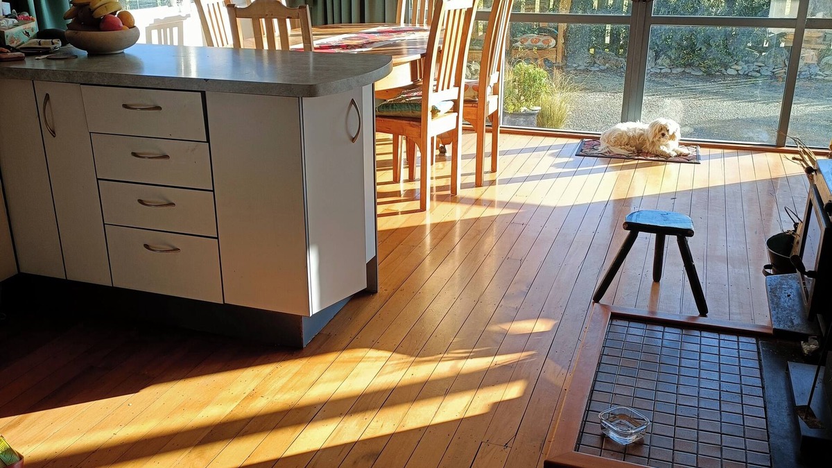 Riwaka House | Spacious 4-bedroom, dog friendly family home in Brooklyn.
