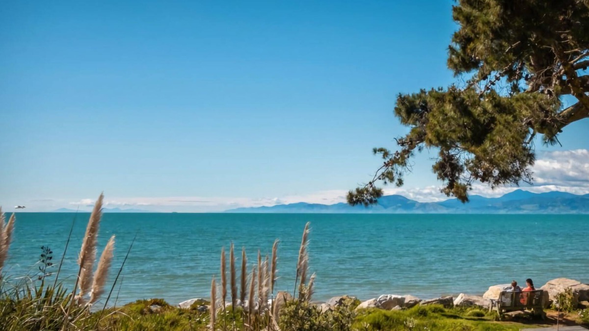 Ruby Bay House | Spectacular Ocean View with a Kiwi Vibe