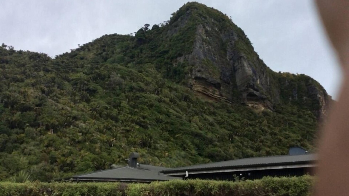 Punakaiki House | Stunning Paradise central on large section