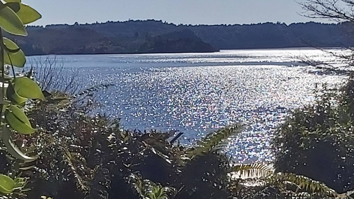 Rotoma House | STUNNING VIEWS, PRIVATE SETTING. Paradise found, all the comforts of home.
