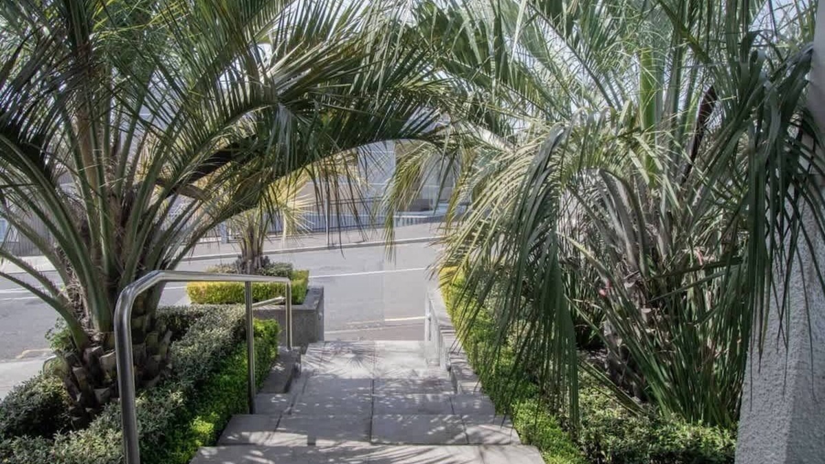 Rewa Apartment | Stylish One-Bedroom Retreat in New Plymouth