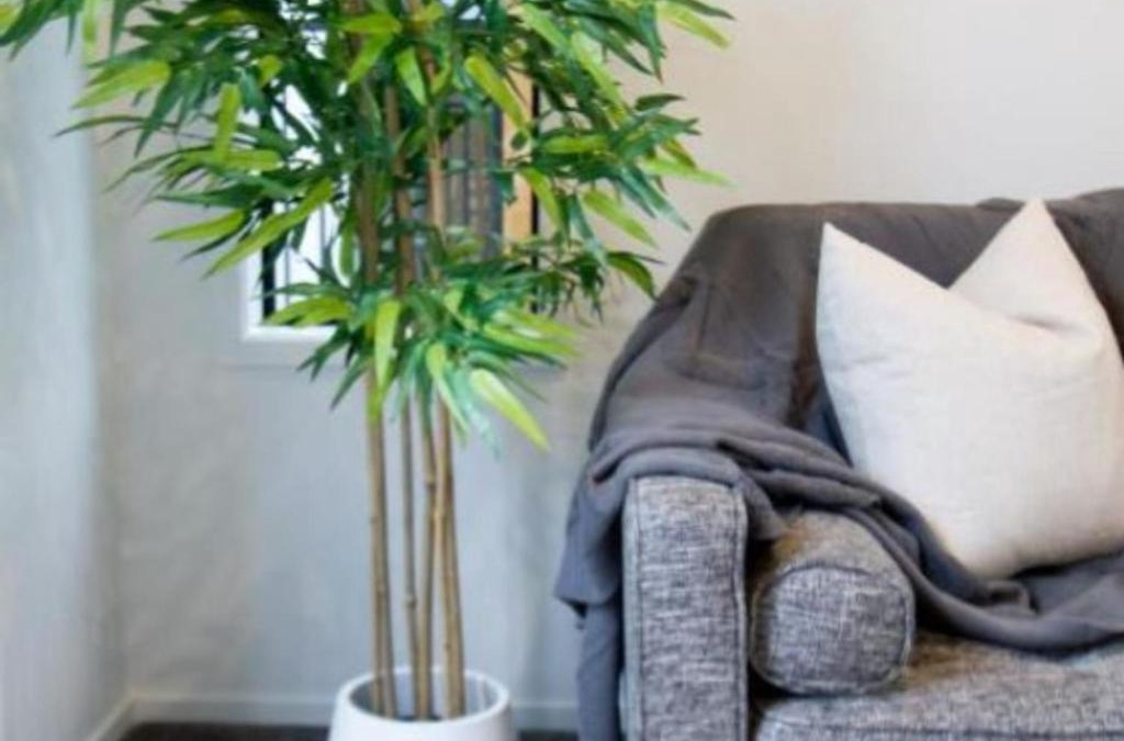 New Brighton Apartment | Sunsoaked seaside 1 bedroom 1 bath