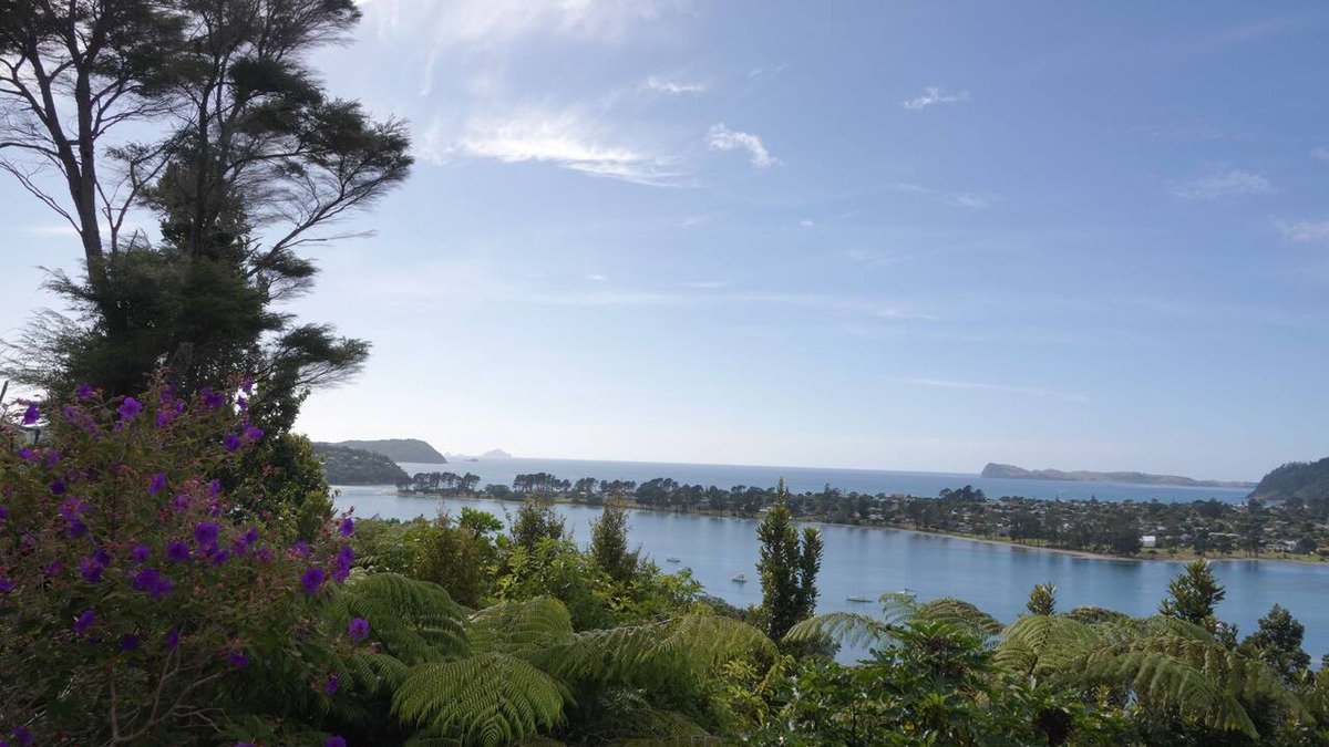Tairua Cottage | Tairua Tree House - a traditional bach overlooking the Tairua Harbour