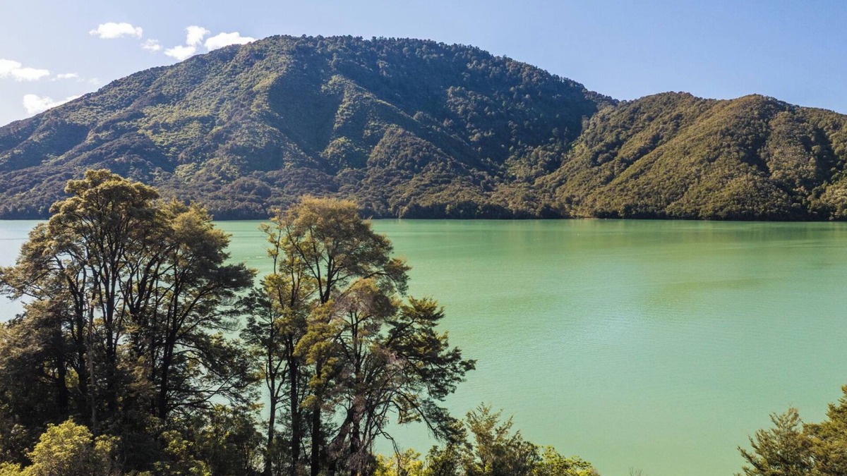 Havelock House | Tepuia Cottage - Havelock Holiday Home