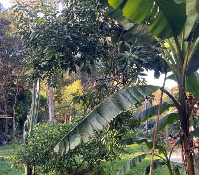 Marahau House | The Big House
