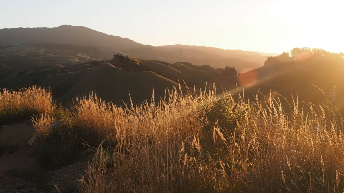 Paraparaumu House | The Hide Kapiti Accommodation