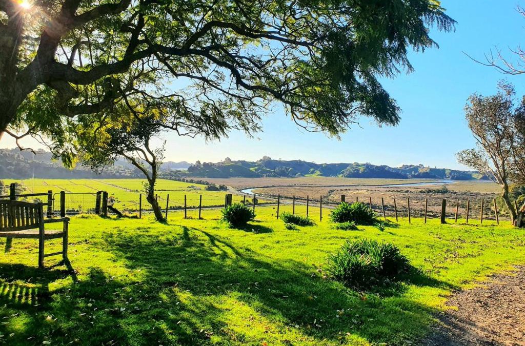 Bay of Plenty Region House | The Hilltop Farm Cabin Retreat