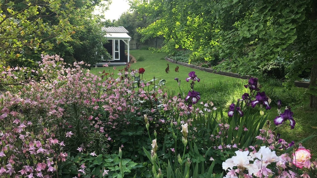 Acacia Bay House | "The Homestead" Acacia Bay, close to The Bay Bar Brasserie & famous L'arte Cafe.