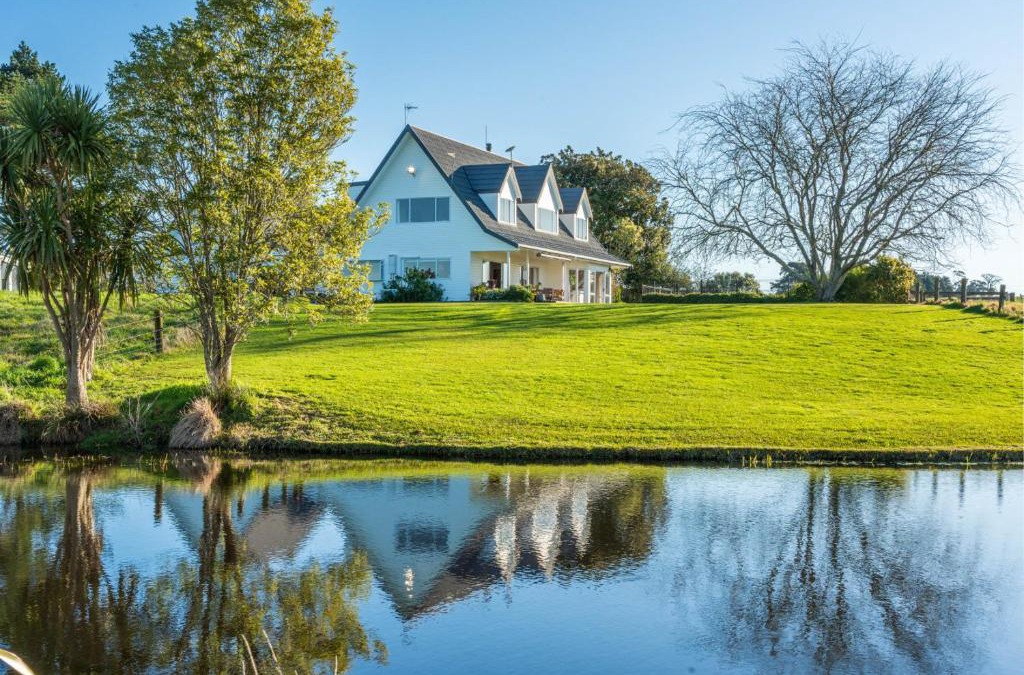 Karaka House | The Pond House by Homello