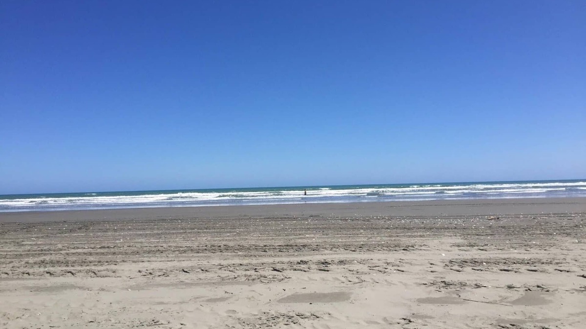 Waikawa Beach Cabin | Tiny beach holiday house an hour from Wellington