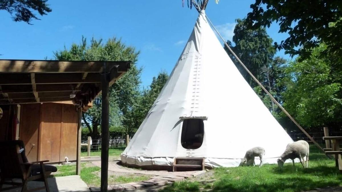 Kaikoura Bed & Breakfast | Tipi/Teepee - Wacky Stays = six UNIQUE rentals in Kaikoura