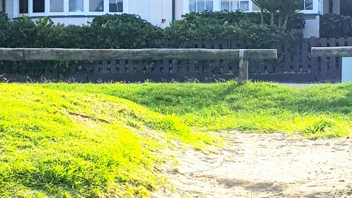 Miramar Cottage | Tiromoana Beachfront Cottage. Worser Bay the heart of Wellington"s film Industry