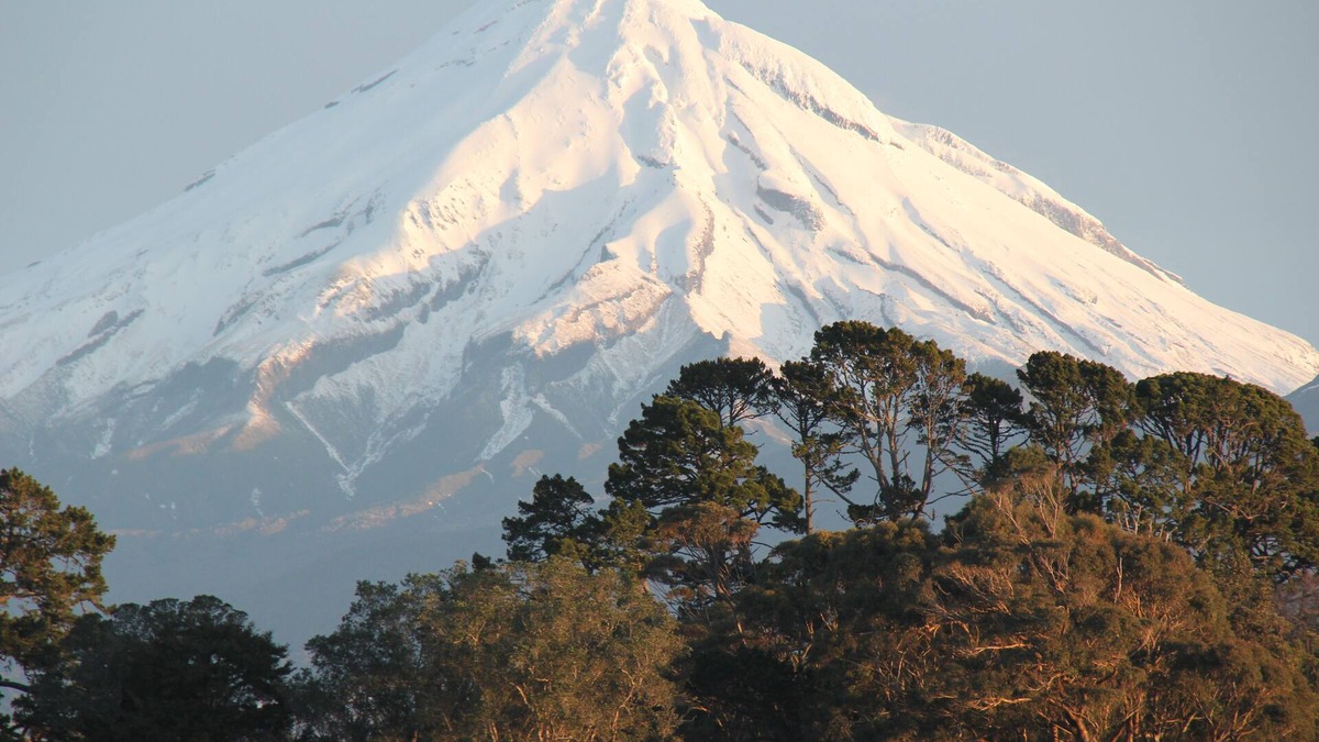 New Plymouth House | TranquilRetreat ModernComforts Near Centre, Parks+Beaches. Spa+Sauna+TennisCourt