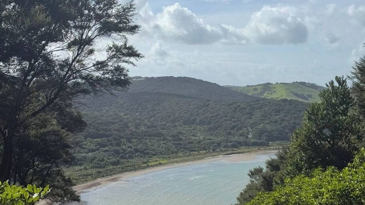 Omiha House | Treehouse on Waiheke