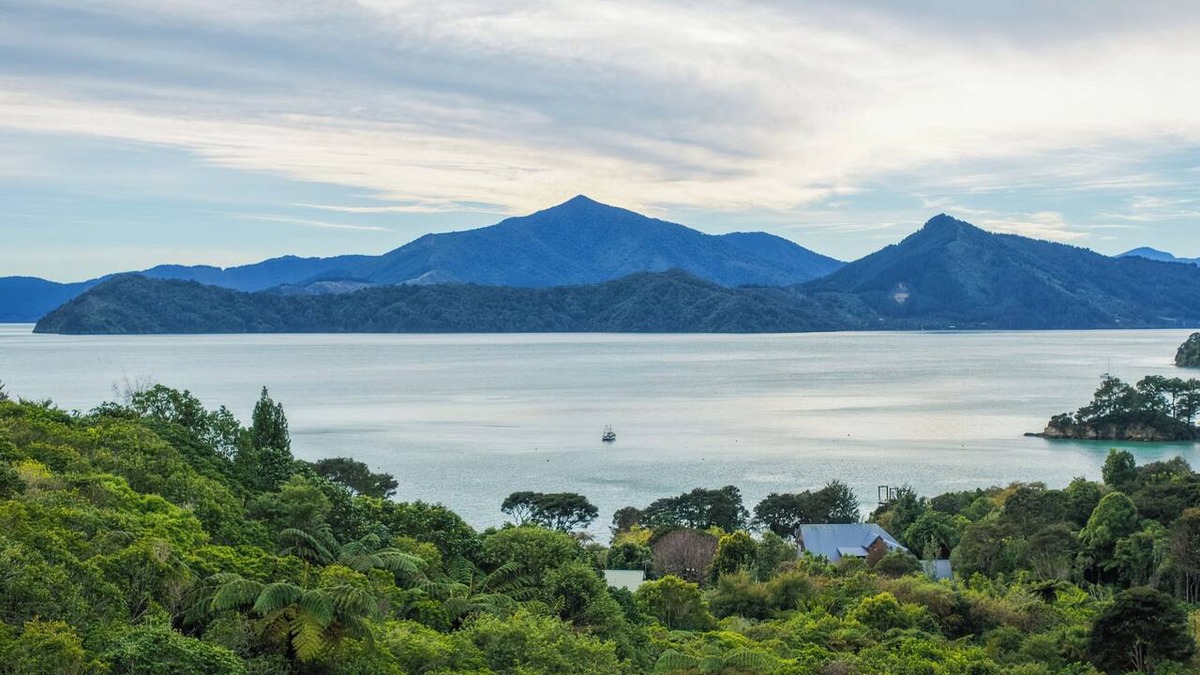 Moetapu Bay House | Treetops & Tide Cottage - Moetapu Holiday Home