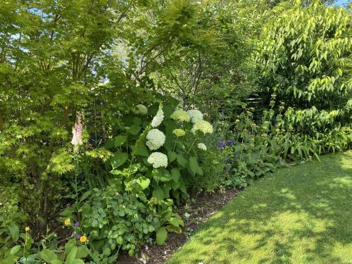 Kerikeri Bed & Breakfast | Treghan Luxury Lodge