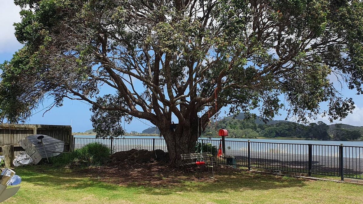 Ngunguru Cottage | Waterfront Cosy Cottage on the beautiful Tutukaka Coast. Sleeps 4. 1 bthrm.