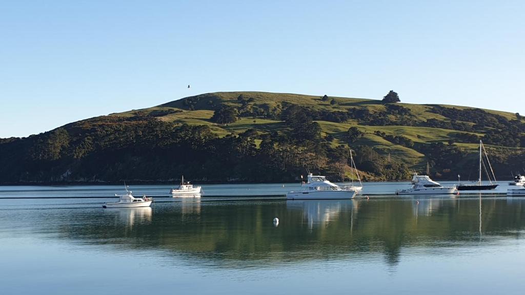 Akaroa Apartment | Waterscape Apartment