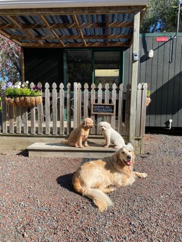 Kumeu Cabin | Willows Reach Lodge