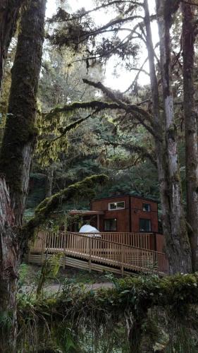 Taumarunui House | Wonderforest 2 Bedroom Tiny house Ruapehu Unique Stays