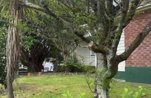 Palmerston North House | 3 bedrooms House