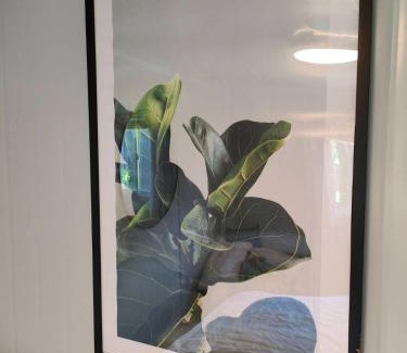 Woolston Apartment | 30m2 Tiny Home with Parking 5 Mins to One NZ Stadium