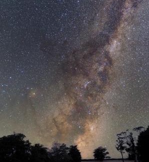 Ongaonga Bed & Breakfast | Ashcott Homestead Bed & Breakfast