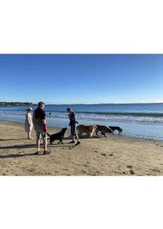 Takapuna House | Beach holiday retreat