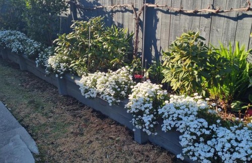 Blenheim Bed & Breakfast | BNB on Carvell