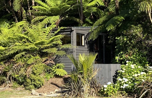 Whangamata Cabin | Bush Edge Studio