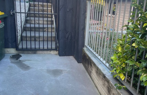 Ngongotaha Apartment | Charming 2-bedroom apartment with WiFi, AC in amazing Rotorua
