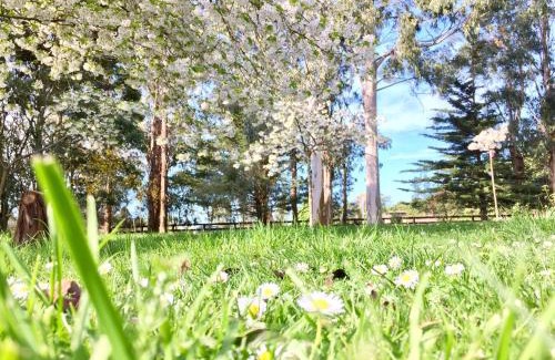 Rolleston House | Charming Country Paradise