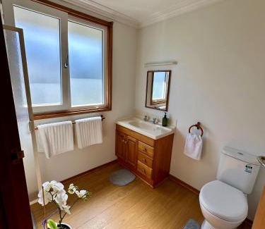 Dunedin Apartment | Cozy and quiet studio apartment with shared hot tub