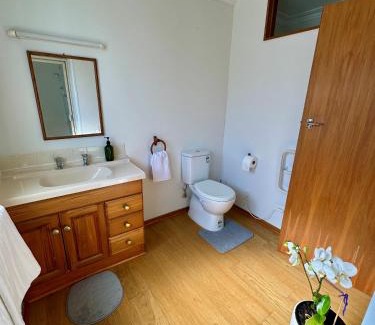 Dunedin Apartment | Cozy and quiet studio apartment with shared hot tub