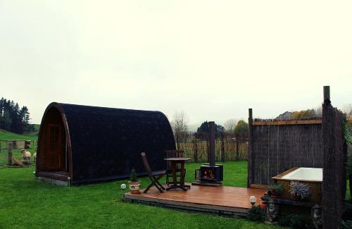 Tapawera House | Farm Therapy- Farm Stay & Digital Detox Retreat