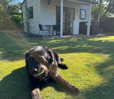 Nelson Apartment | Guest house in Tahunanui