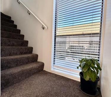 Riccarton Villa | Handy Riccarton New Home Walk to Westfield, Tower Junction & Close to Hagley Park