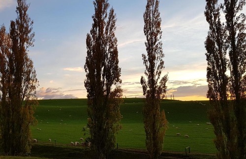 Coalgate House | Hazel Tree Homestay