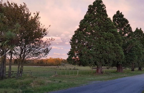 Coalgate House | Hazel Tree Homestay