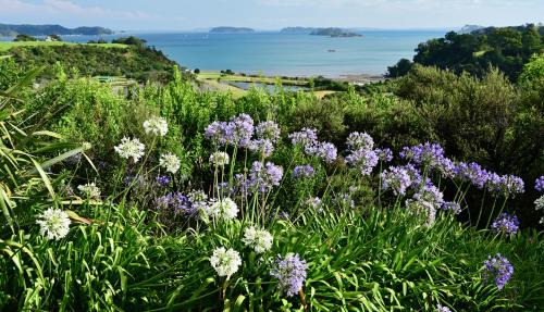 Tawharanui House | Kākā Ridge Retreat Luxury Cottage