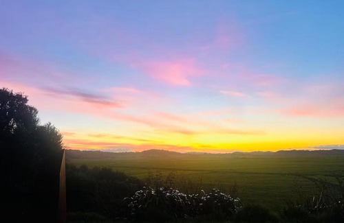 Whangarei Apartment | Kauri Cabins Time to relax